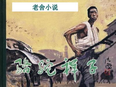 pr九天狐官网